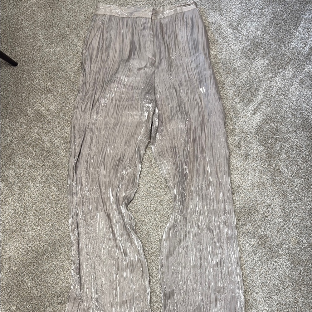 Zara Women's Silver Pleated Pants